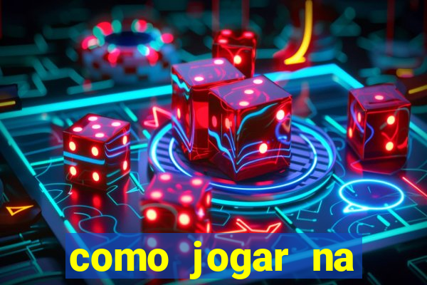 como jogar na lotinha do jogo do bicho